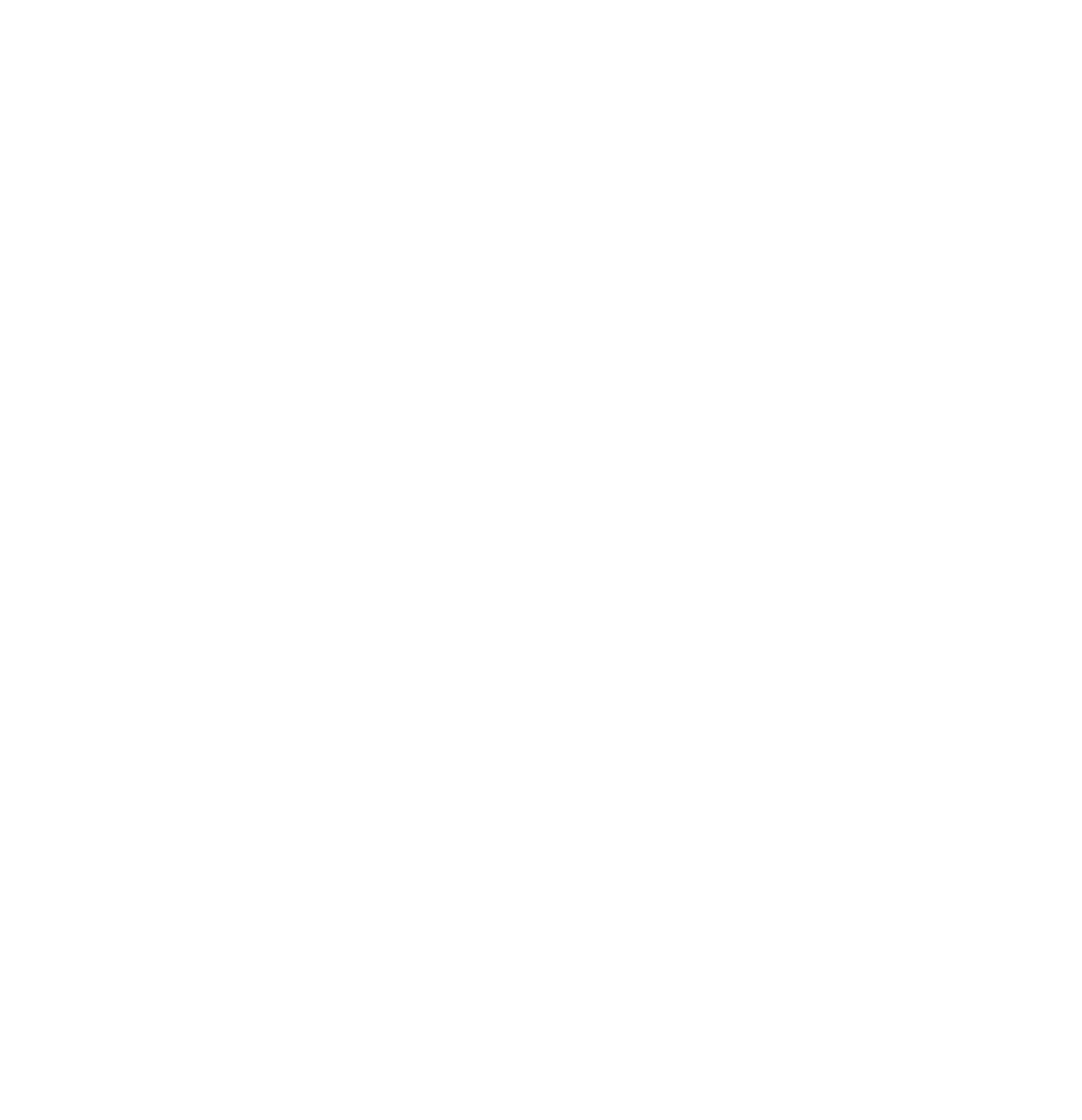 Sabir raiz logo white