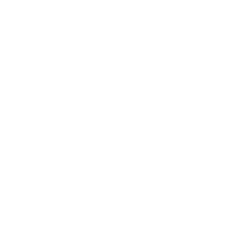 cropped-Sabir-raiz-logo-white.png